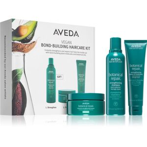 Aveda Botanical Repair™ Regional Set ajándékszett (haj és test)