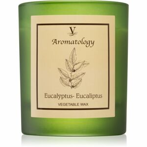 Vila Hermanos Aromatology Eucalyptus illatgyertya 200 g