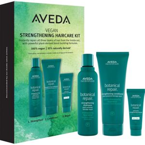 Aveda Botanical Repair™ Strengthening Haircare Set ajándékszett (hajra)