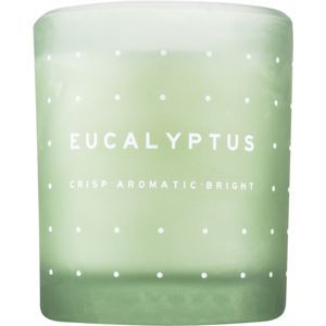 DW Home Eucalyptus illatos gyertya 371,3 g