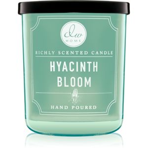 DW Home Hyacinth Bloom illatos gyertya
