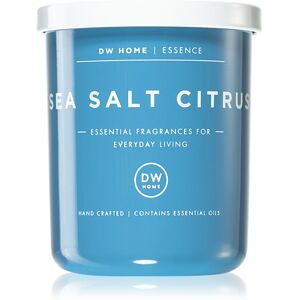 DW Home Essence Sea Salt Citrus illatgyertya 113 g
