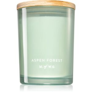 Makers of Wax Goods Aspen Forest illatgyertya 420 g