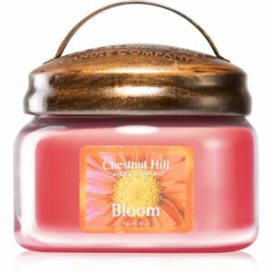 Chestnut Hill Bloom illatgyertya 284 g