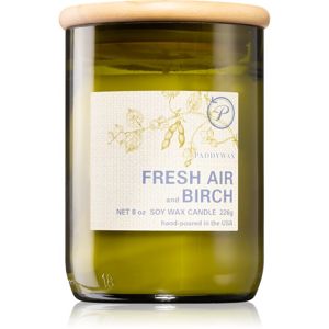 Paddywax Eco Green Fresh Air & Birch illatgyertya 226 g