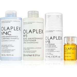 Olaplex The Ultimate Detox & Hydrate Kit szett (száraz és sérült hajra)