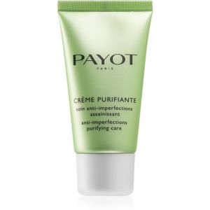 Payot Pâte Grise tisztító krém a bőr tökéletlenségei ellen