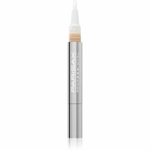 Parisax Professional folyékony korrektor applikációs ceruza árnyalat Natural 2 1,5 ml