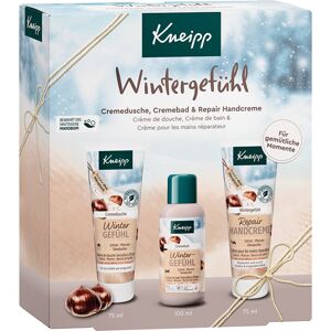 Kneipp Winter Feeling ajándékszett (kézre és testre)