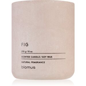 Blomus Fraga Fig illatgyertya 290 g