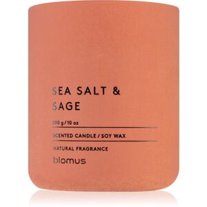 Blomus Fraga Sea Salt & Sag illatgyertya 290 g