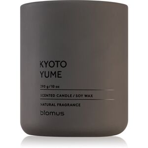 Blomus Fraga Kyoto Yume illatgyertya 290 g