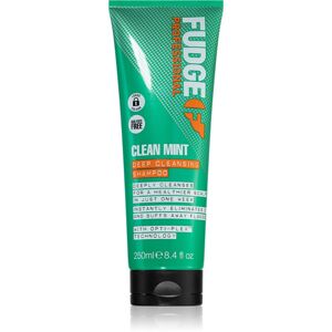 Fudge Clean Mint Shampoo tisztító sampon normál, gyorsan zsírosodó hajra 250 ml