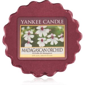Yankee Candle Madagascan Orchid illatos viasz aromalámpába 22 g