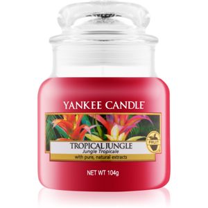 Yankee Candle Tropical Jungle illatos gyertya Classic kis méret