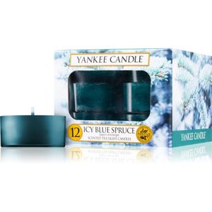 Yankee Candle Icy Blue Spruce teamécses 12 x 9,8 g