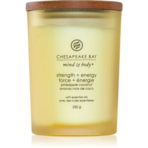 Chesapeake Bay Candle Mind & Body Strength & Energy illatgyertya 250 g