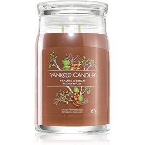 Yankee Candle Praline & Birch illatgyertya 567 g