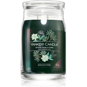 Yankee Candle Silver Sage & Pine illatgyertya 567 g