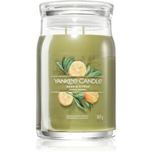 Yankee Candle Sage & Citrus illatgyertya Signature 567 g