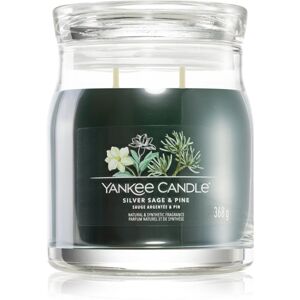 Yankee Candle Silver Sage & Pine illatgyertya Signature 368 g
