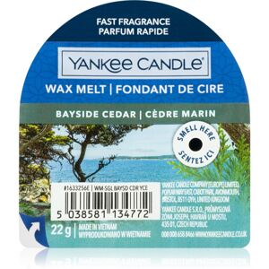 Yankee Candle Bayside Cedar illatos viasz aromalámpába 22 g
