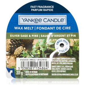 Yankee Candle Silver Sage & Pine illatos viasz aromalámpába 22 g