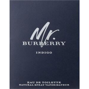 Burberry Mr. Burberry Indigo Eau de Toilette uraknak 2 ml