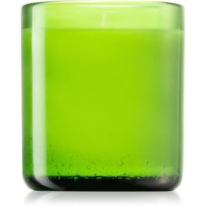 Designers Guild Woodland Fern Glass illatgyertya 220 g