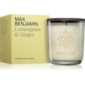MAX Benjamin Lemongrass & Ginger illatgyertya 210 g