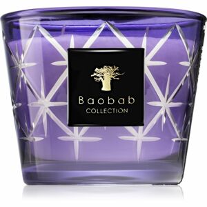 Baobab Borgia Rodrigo illatgyertya 10 cm