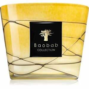 Baobab Filo Oro illatgyertya 10 cm