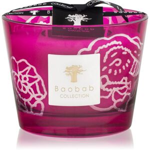 Baobab Collectible Roses Burgundy illatgyertya 10 cm