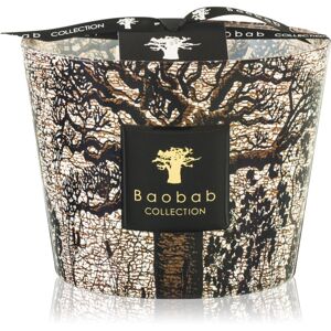 Baobab Collection Sacred Trees Morondo illatgyertya 10 cm