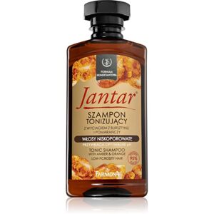Farmona Jantar Low Porosity Hair tömegnövelő tisztító sampon 330 ml