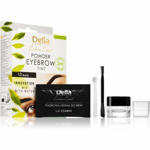 Delia Cosmetics Eyebrow Expert tonizáló szemöldökfesték árnyalat 1.0 Black 4 g