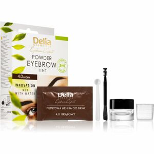 Delia Cosmetics Eyebrow Expert tonizáló szemöldökfesték árnyalat 4.0 Brown 4 g