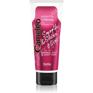 Delia Cosmetics Cameleo Smooth & Shine 60 sec hajkrém a fénylő és selymes hajért 250 ml