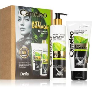 Delia Cosmetics Cameleo Anti Damage ajándékszett (a sérült, töredezett hajra)