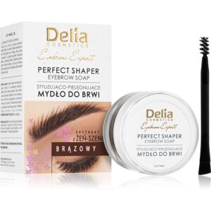 Delia Cosmetics Eyebrow Expert szemöldök rögzítő viasz árnyalat Brown 10 ml
