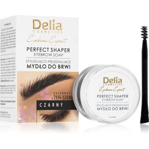 Delia Cosmetics Eyebrow Expert szemöldök rögzítő viasz árnyalat Black 10 ml