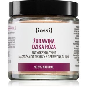 Iossi Classic Cranberry Roseship hidratáló és antioxidáns arcpakolás agyaggal 120 ml