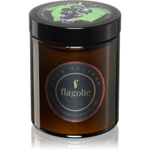 Flagolie Four Seasons Black Currant illatgyertya 120 g