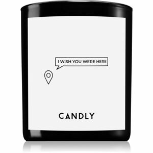 Candly & Co. I wish you were here illatgyertya 250 g