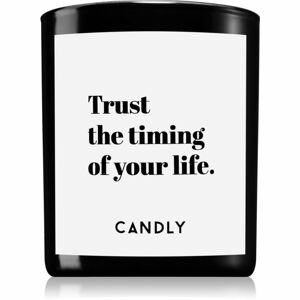Candly & Co. Trust the timing illatgyertya 250 g