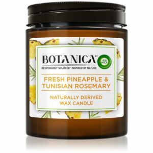 Air Wick Botanica Fresh Pineapple & Tunisian Rosemary illatgyertya 205 g