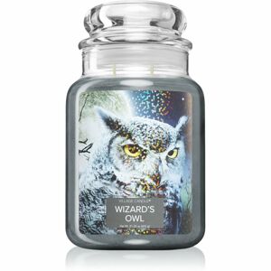 Village Candle Wizard´s owl illatgyertya (Glass Lid) 602 g