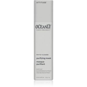 Attitude Oceanly Purifying Mask 30 g