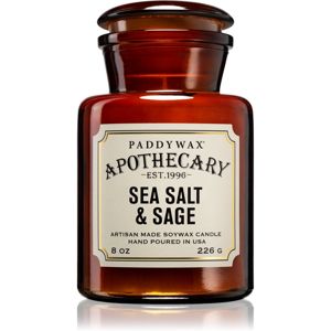 Paddywax Apothecary Sea Salt & Sage illatgyertya 226 g