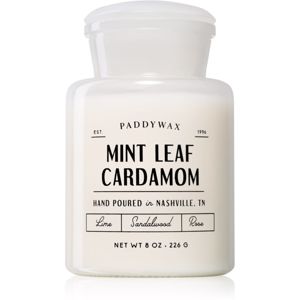 Paddywax Farmhouse Mint Leaf & Cardamom illatgyertya (Apothecary) 226 g
